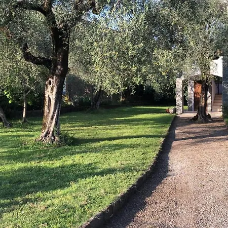 La Terrazza Sugli Ulivi Vakantiehuis