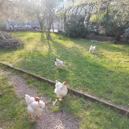 La Terrazza Sugli Ulivi Toscolano Maderno